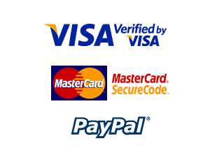 Visa, MC and PayPal logos for payment options